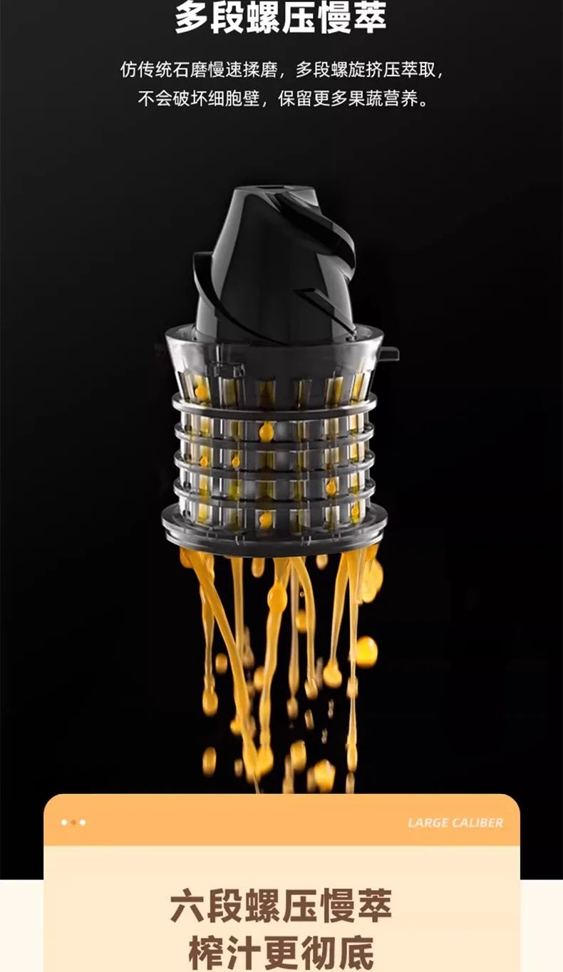 SmartJuice™ Max Slow Press Juicer