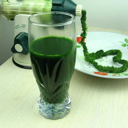 SmartJuice™ GreenPress Manual Juicer