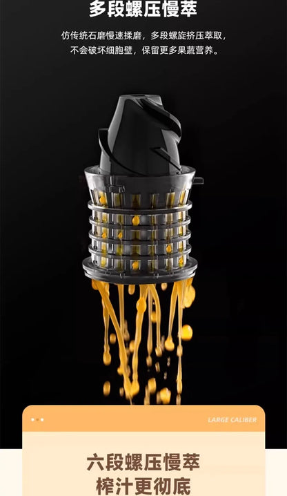 SmartJuice™ Max Slow Press Juicer