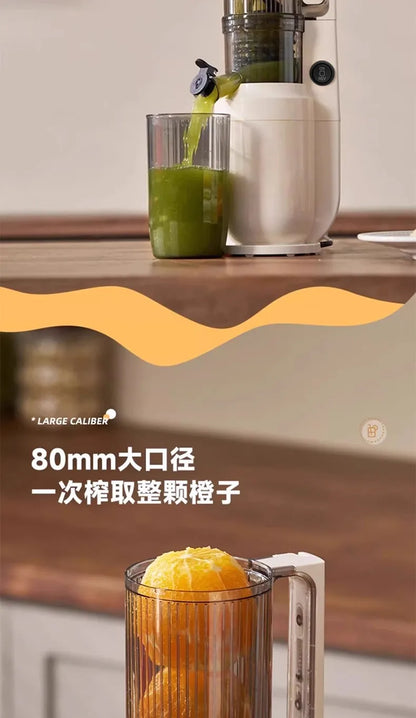 SmartJuice™ Max Slow Press Juicer